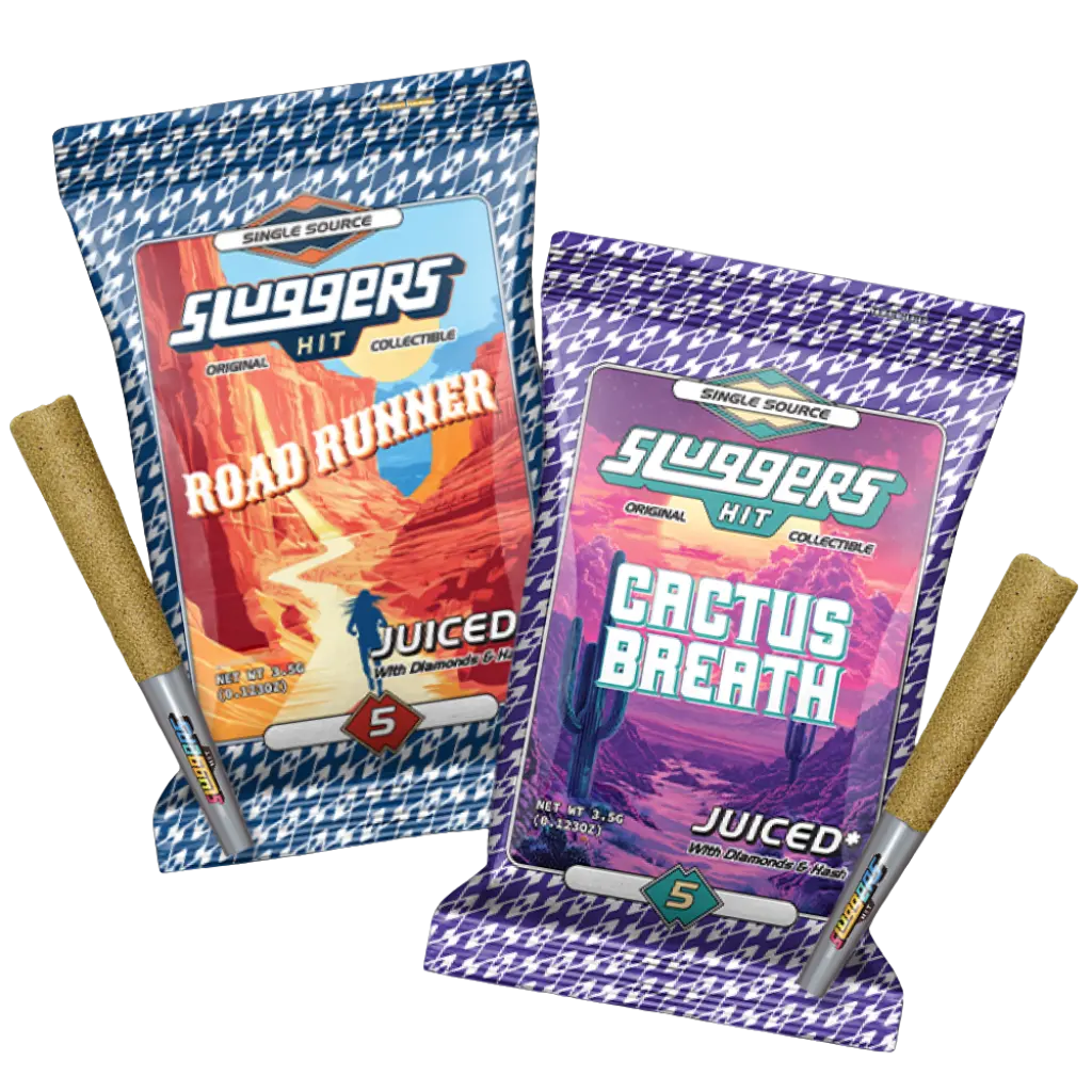 Sluggers Hero Image