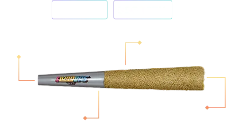 Sluggers Features Image